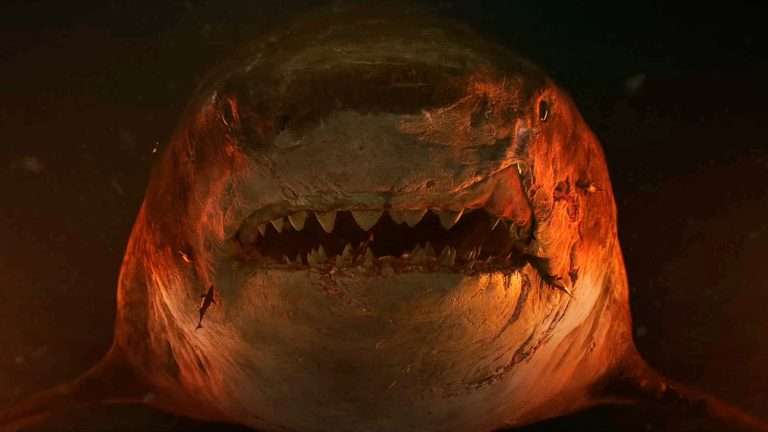 The 2024 Razzie Awards Nominations Call Out for the Cinematic Blunders of the Year
