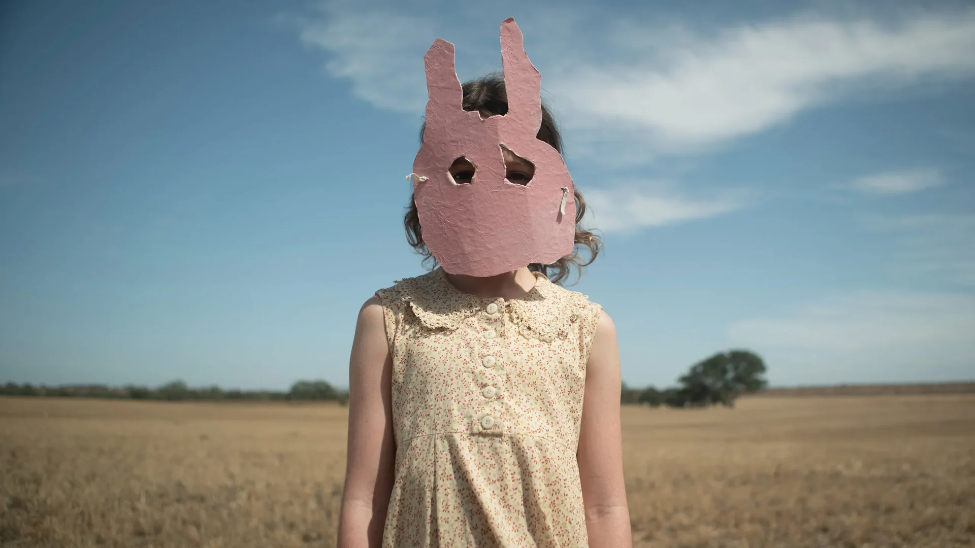 Run Rabbit Run The 10 Best Horror Films of 2023 - hof