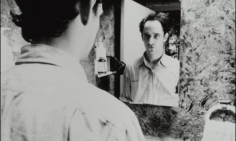 Pi (1998) Movie Ending, Explained: Did Max Lose His Gift?