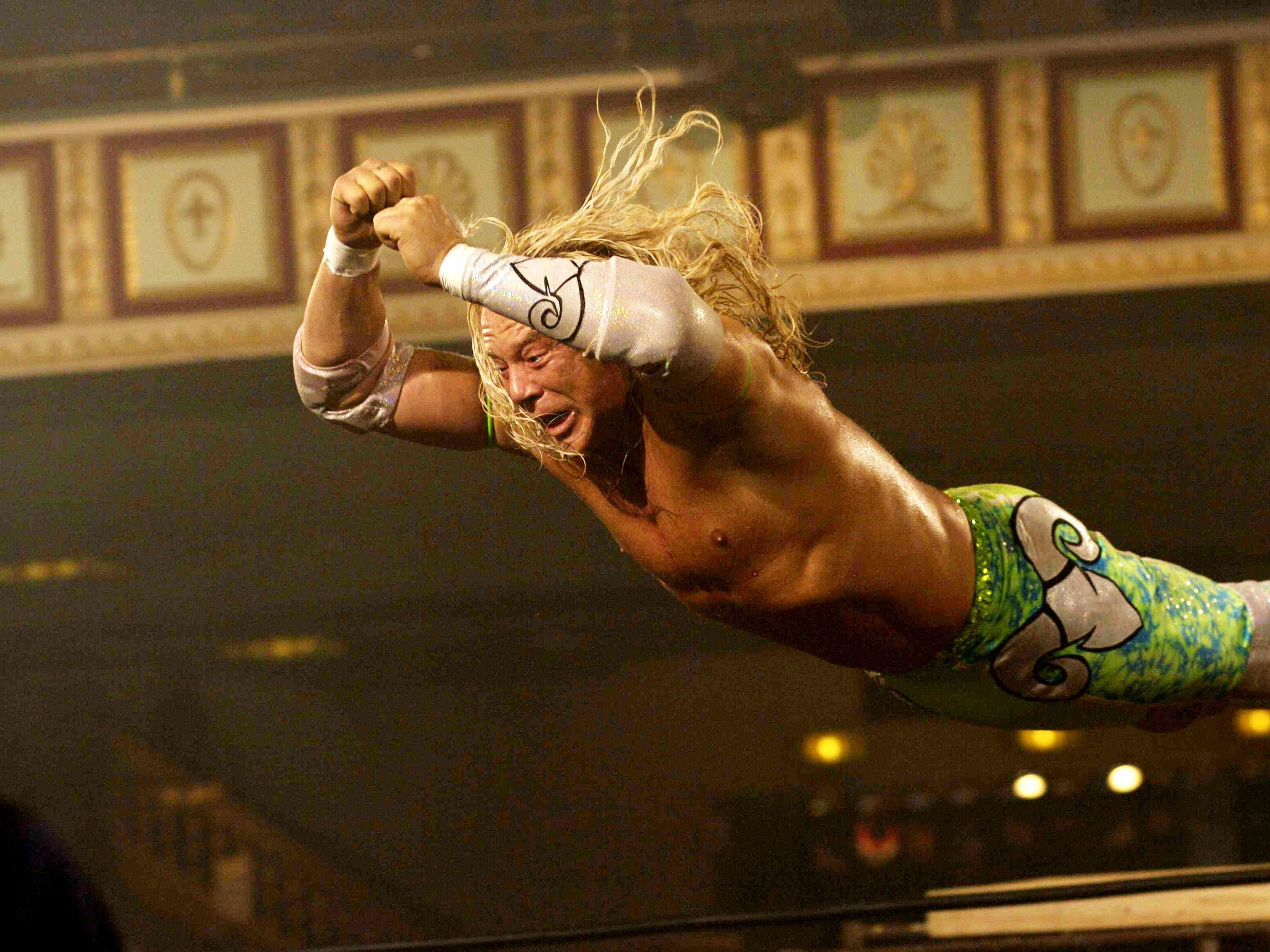 The Wrestler (2008) wrestling movies