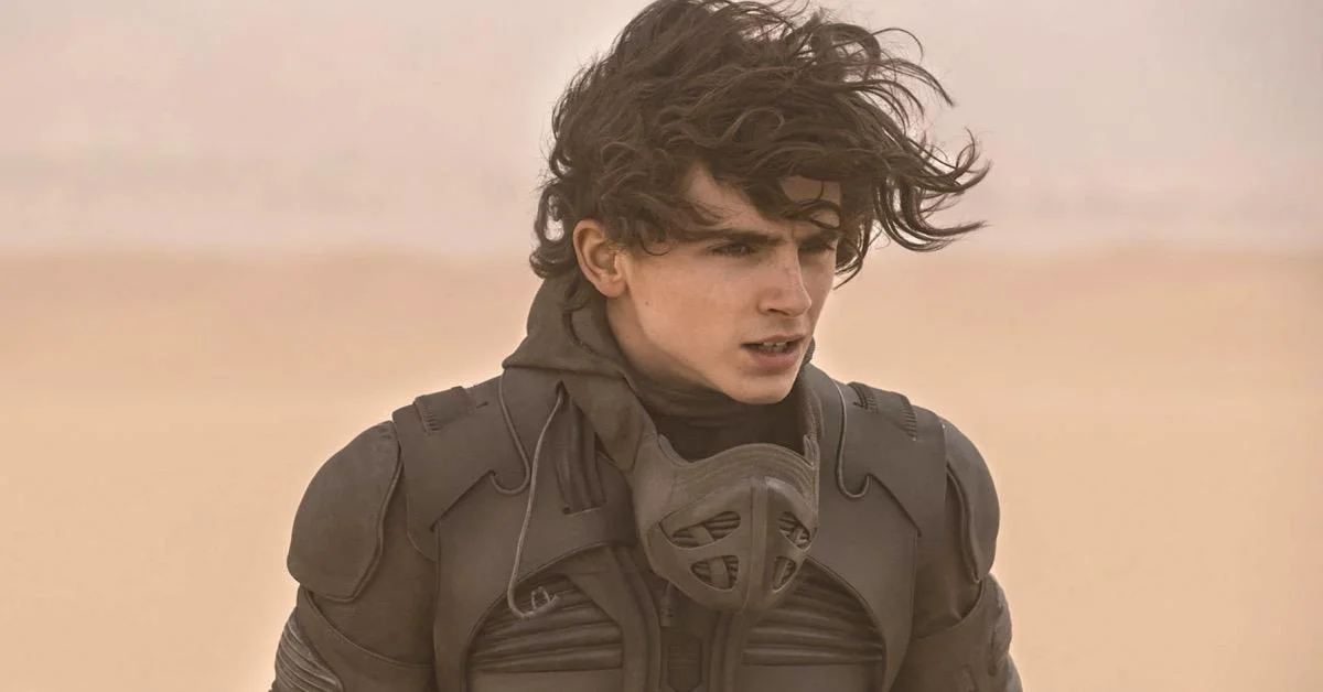 Timothée Chalamet's Take on Superhero Films