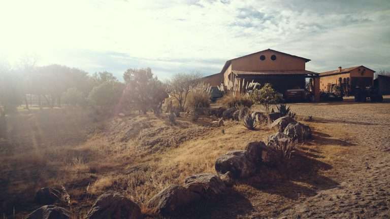 Yellowstone: Succession Set on a Ranch