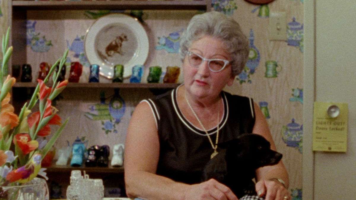 10 Greatest Films of All Time, According to Roger Ebert - Gates of Heaven