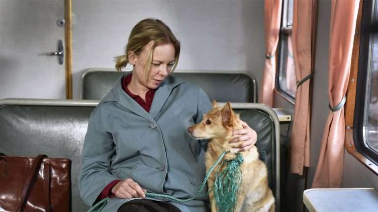 20 Best Comedy Movies of 2023