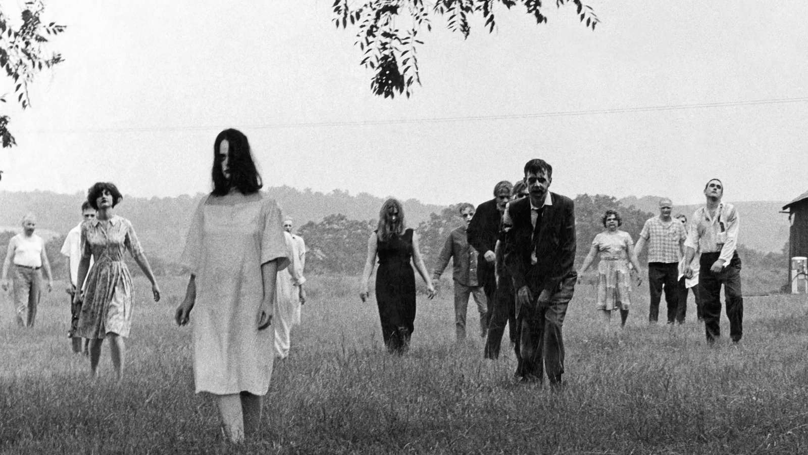 Horror Movies Peacock - Night of the Living Dead