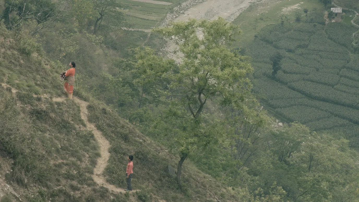 The Witness Tree (2024) ‘IFFR’ Movie Review