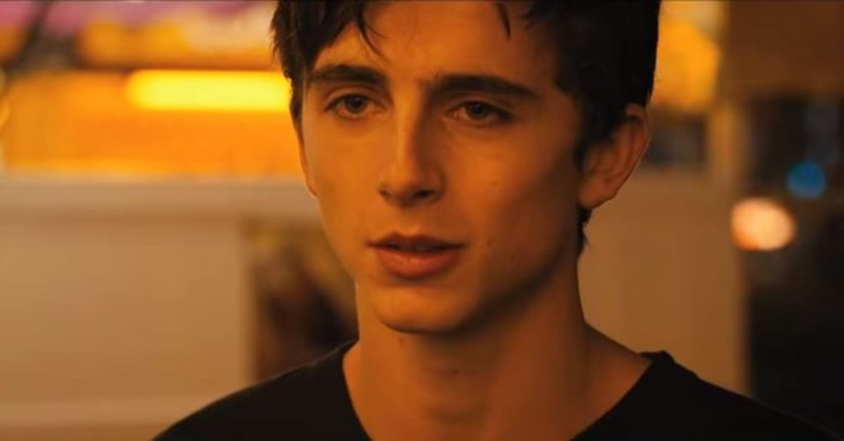 Timothée Chalamet - Hot Summer Nights (2017)