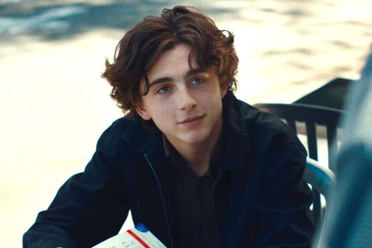 Timothée Chalamet - Lady Bird (2017)