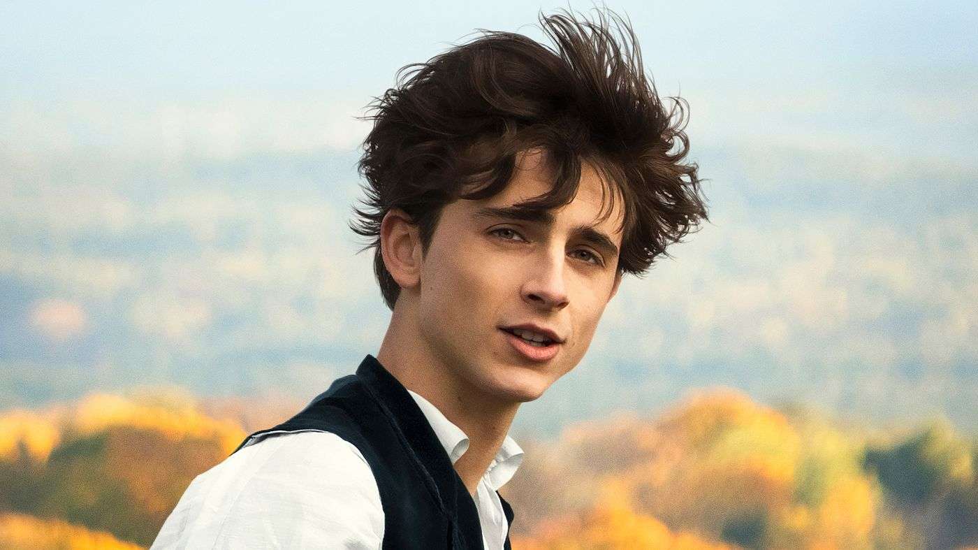 Timothée Chalamet - Little Women (2019)