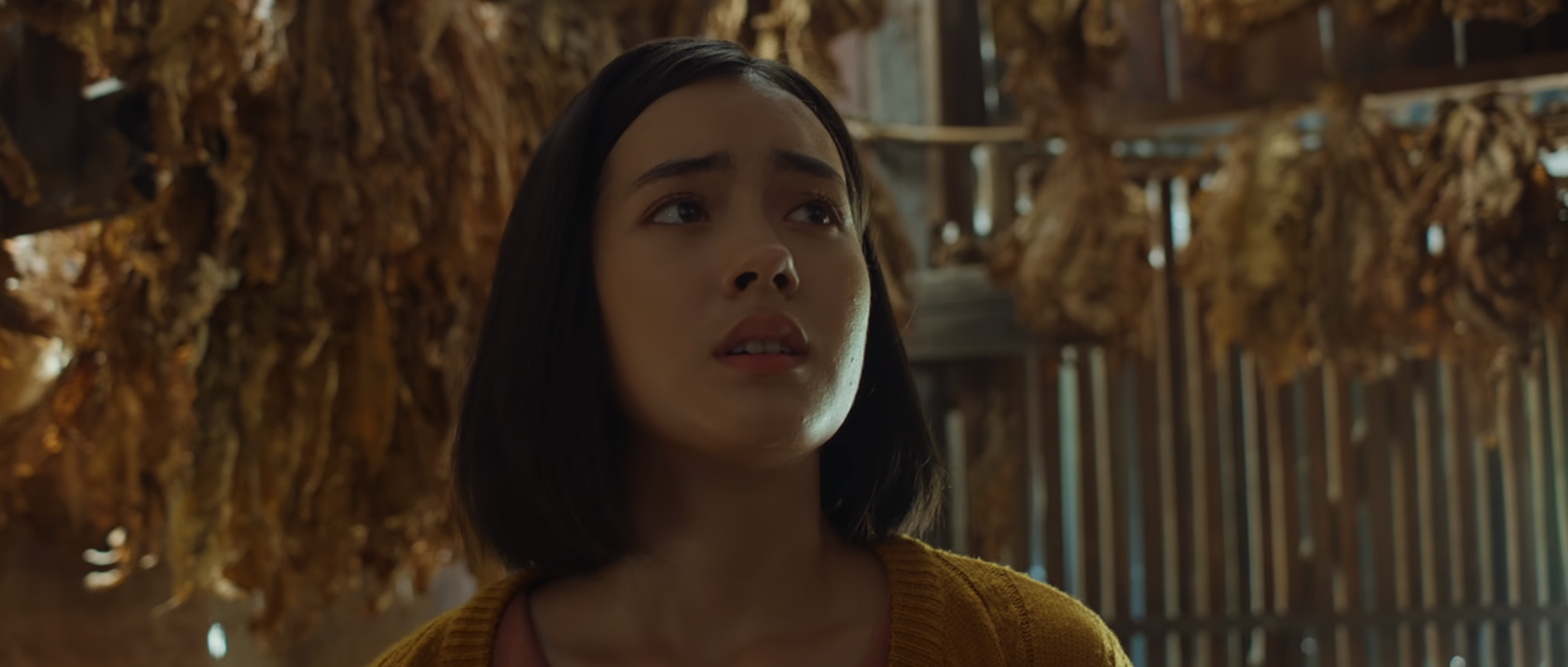 Death Whisperer (2023) Movie Ending Explained