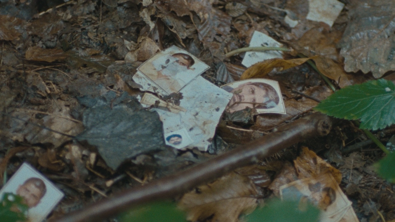 A still from The Landscape and the Fury (2024). 