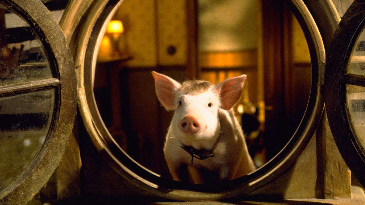Babe: Pig in the City (1998) All George Miller Movies (Including Furiosa: A Mad Max Saga), Ranked