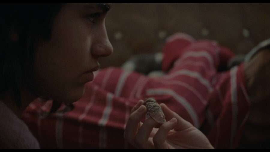 A still from Ana Cristina Barragán's Bird. 