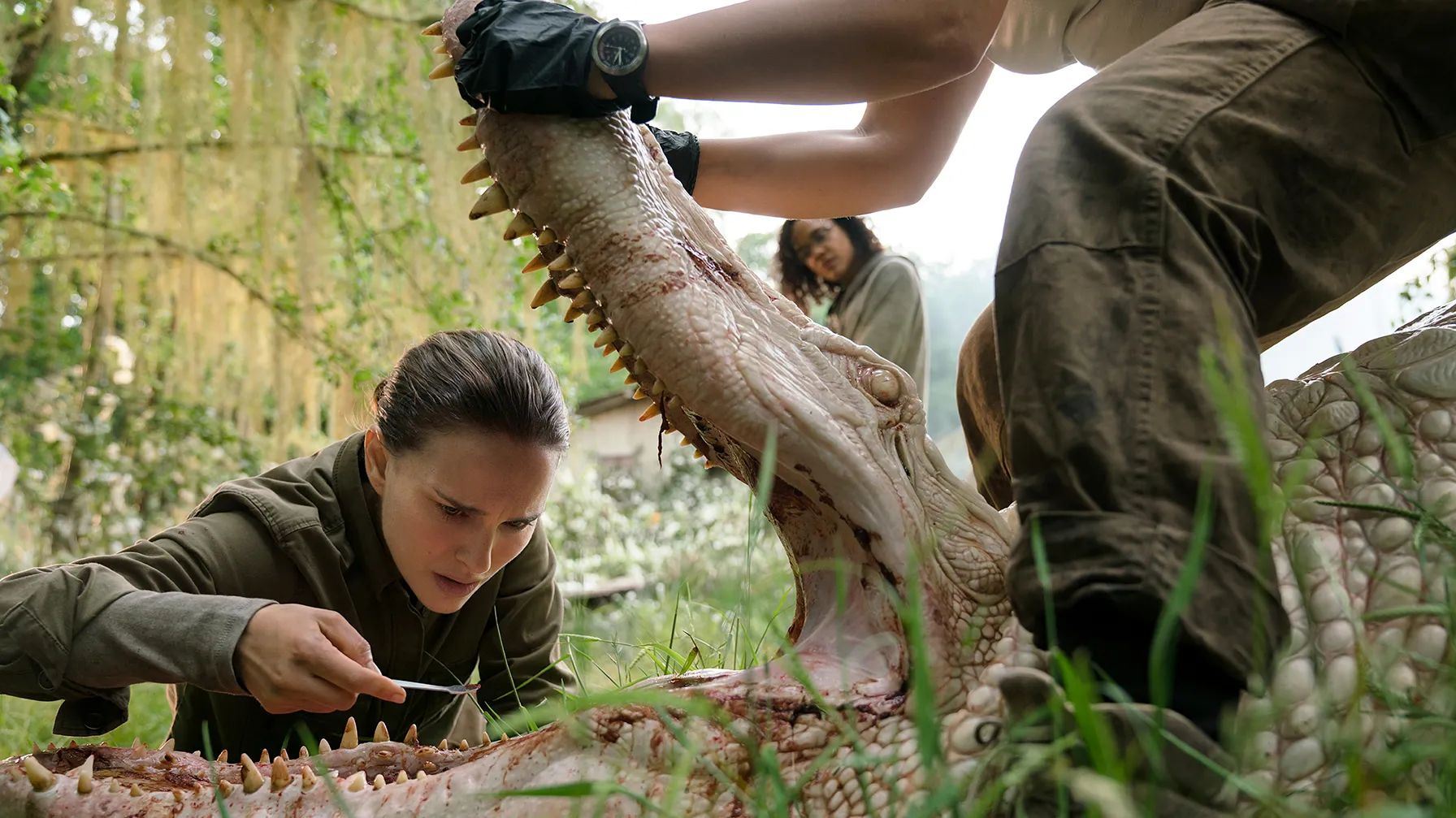 Annihilation (2018) Movie Ending Explained