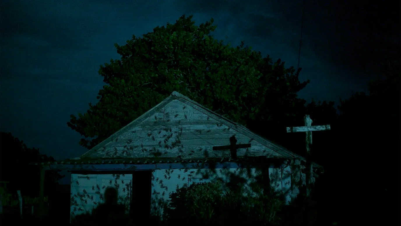 History is written at night, I saw you were dancing (2024) ‘Vienna Shorts’ Review