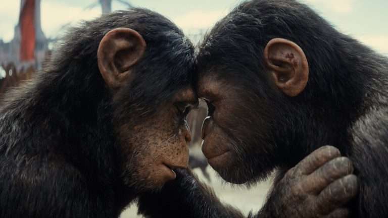 Kingdom of the Planet of the Apes: Hulu Streaming Premier Date Revealed for the Wes Ball movie