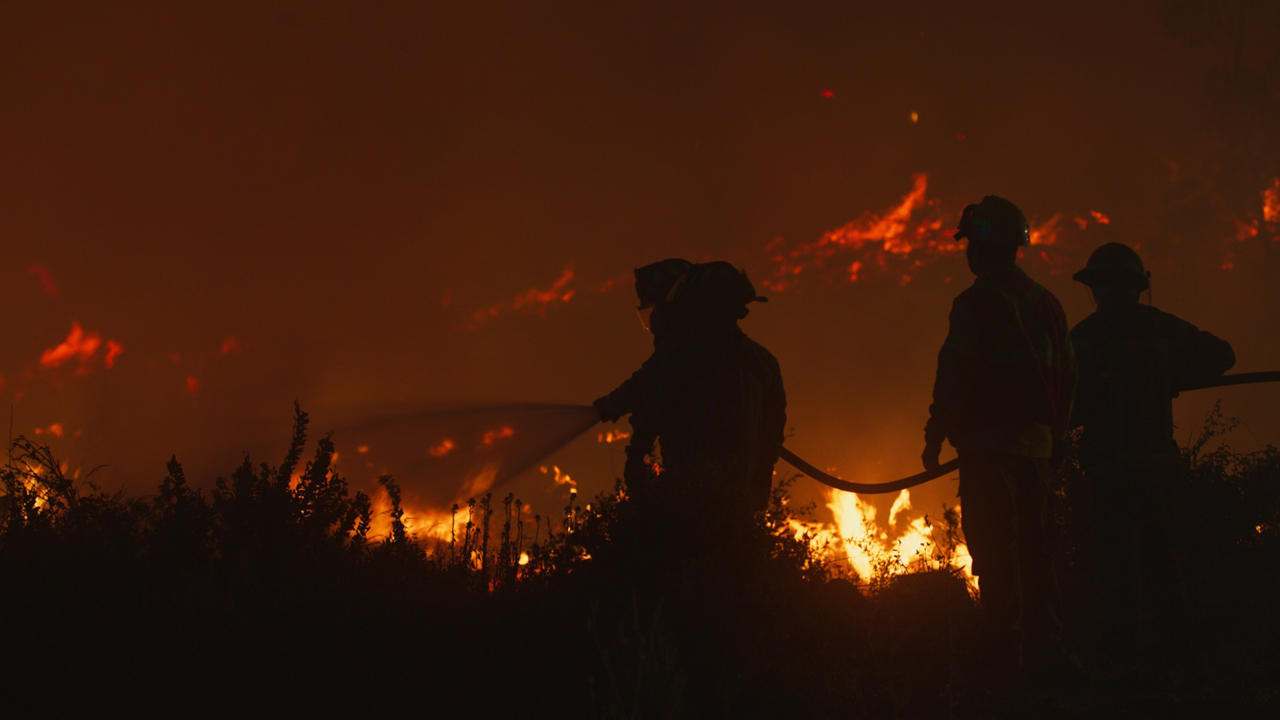 Pirópolis (2024) ‘Sheffield Doc/Fest’ Movie Review