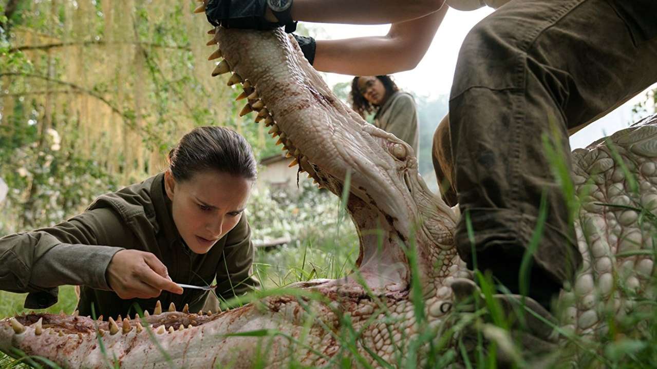 A Quiet Place Movies - Annihilation