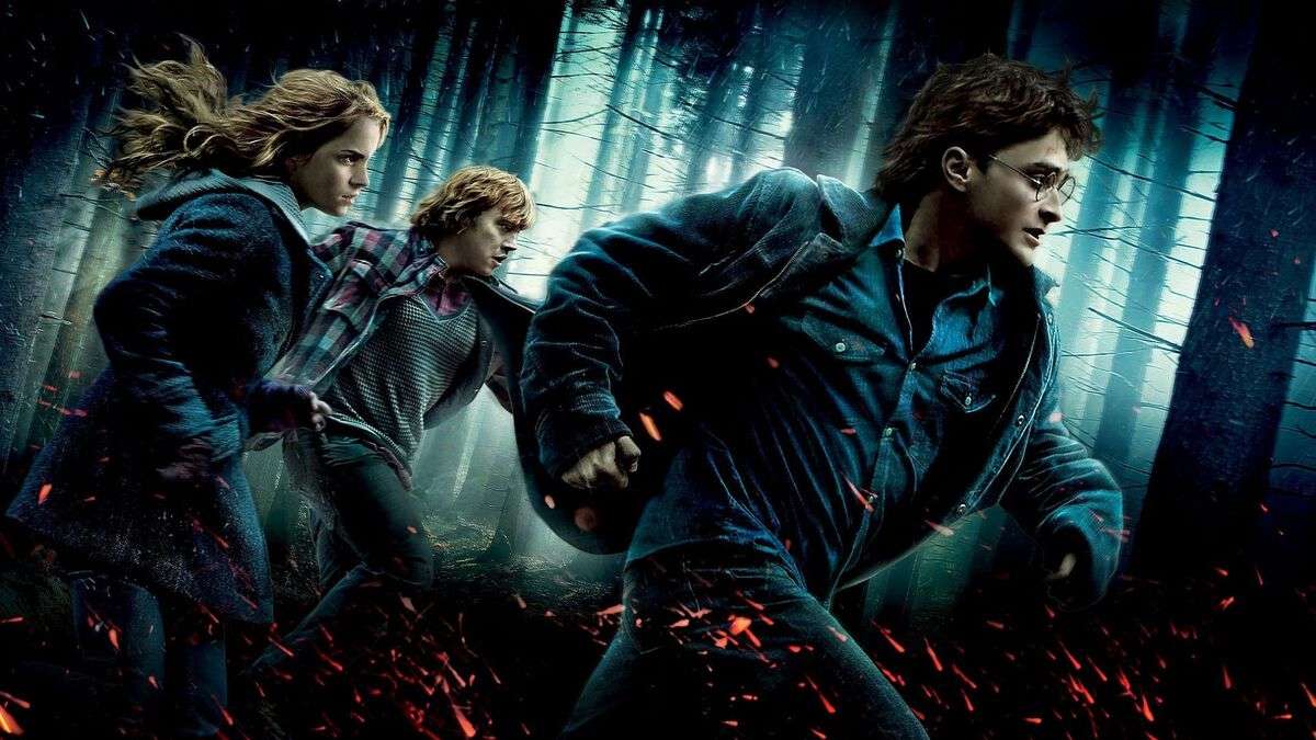 Harry Potter and the Deathly Hallows - Part 1 (2010)