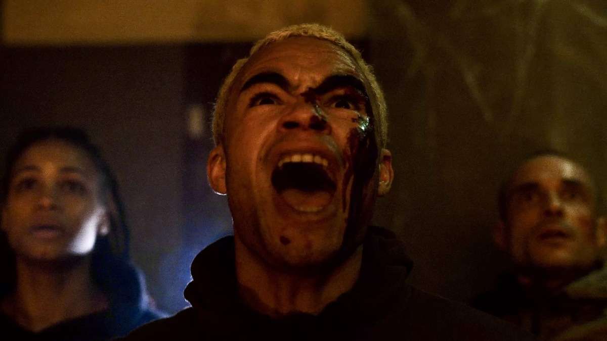 Infested | The 15 Best Horror Movies of 2024, According to Rotten Tomatoes