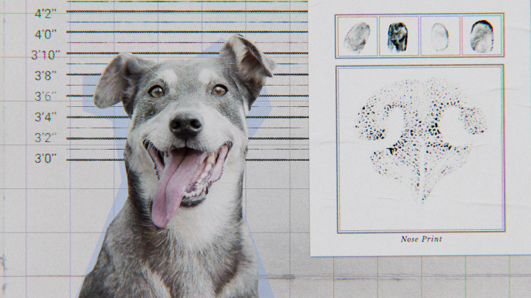 Inside the Mind of a Dog (2024) Documentary Review: An exploration of the ‘goodest boy’ in the whole wide world
