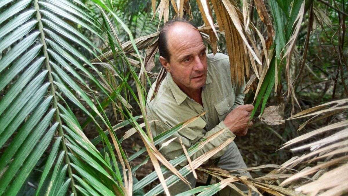 Little Dieter Needs to Fly (1997) The 10 Best Werner Herzog Movies, Ranked