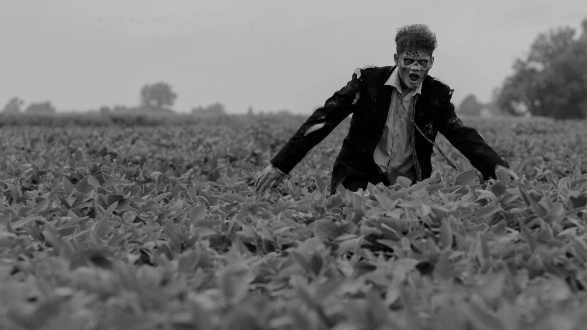 Vampire Zombies…From Space! (2024)