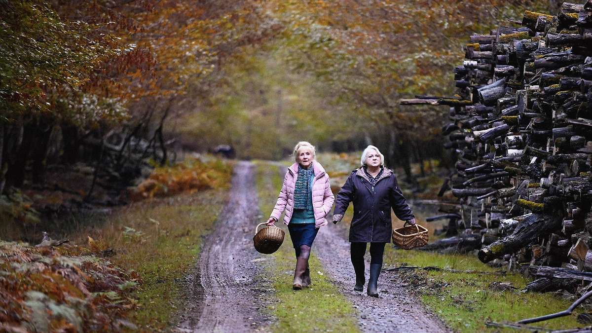 10 Best French Movies of 2024  When Fall Is Coming 2024
