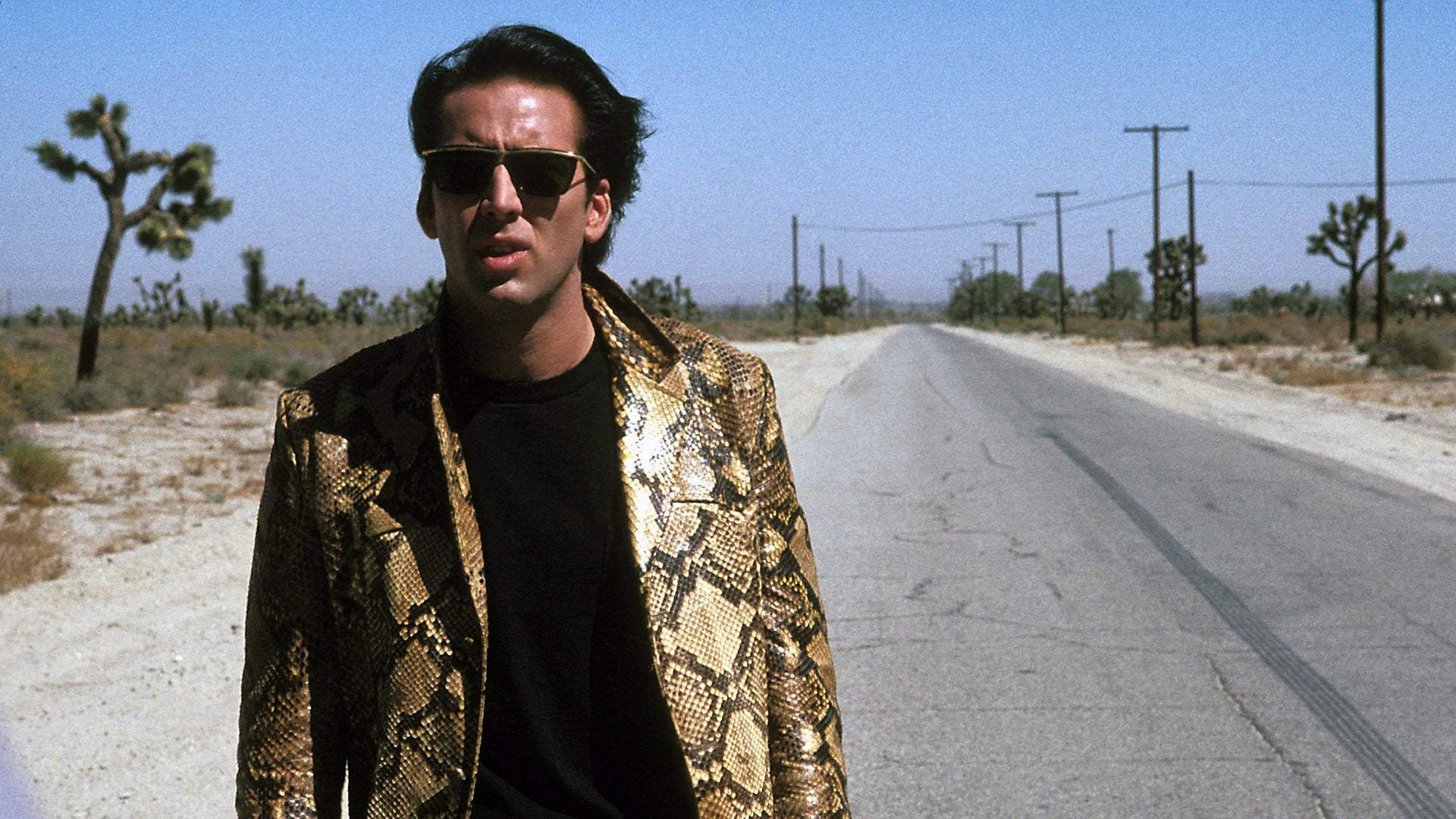Wild at Heart (1990) - David Lynch Movies