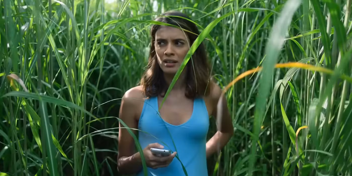 In the Tall Grass 2019