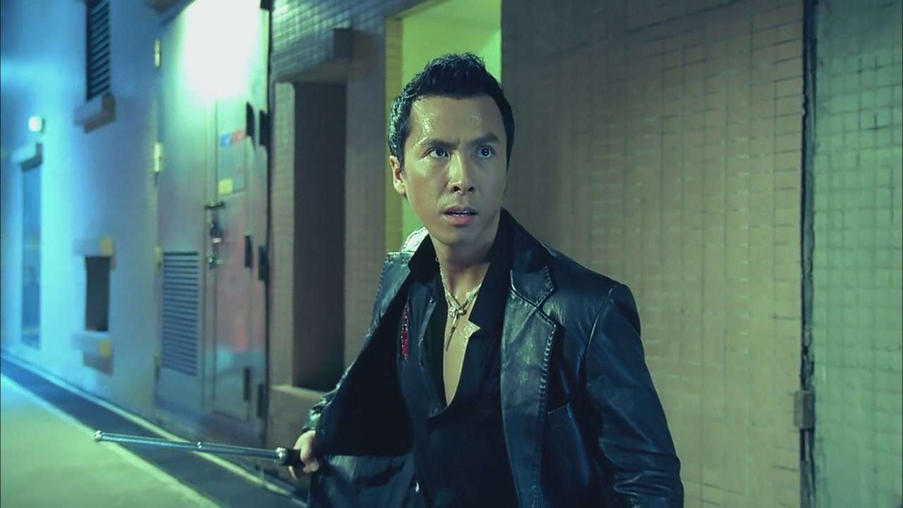 Movies like Havoc (2025): Kill Zone (SPL)
