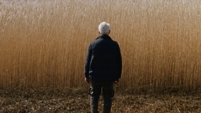 Reedland (2025) ‘Cannes’ Movie Review: Sven Bresser’s Unnerving, Coiled-Up Debut Pokes Through Moral Chasms