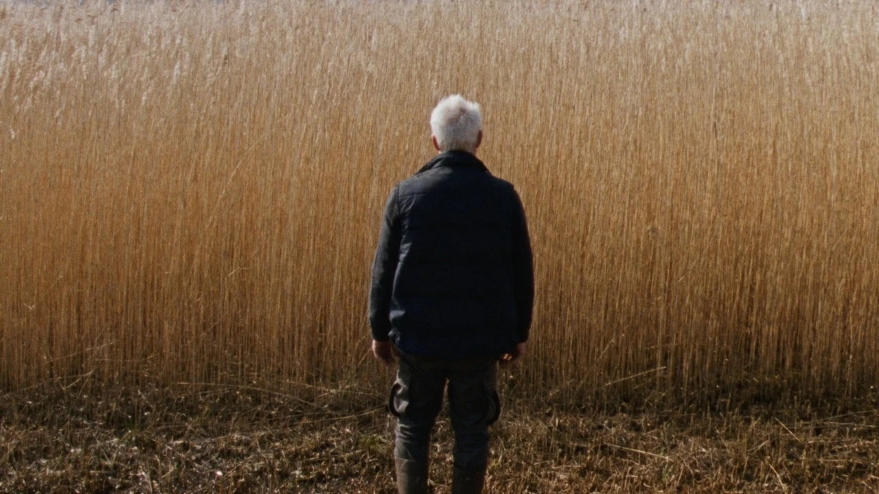 Reedland (2025)