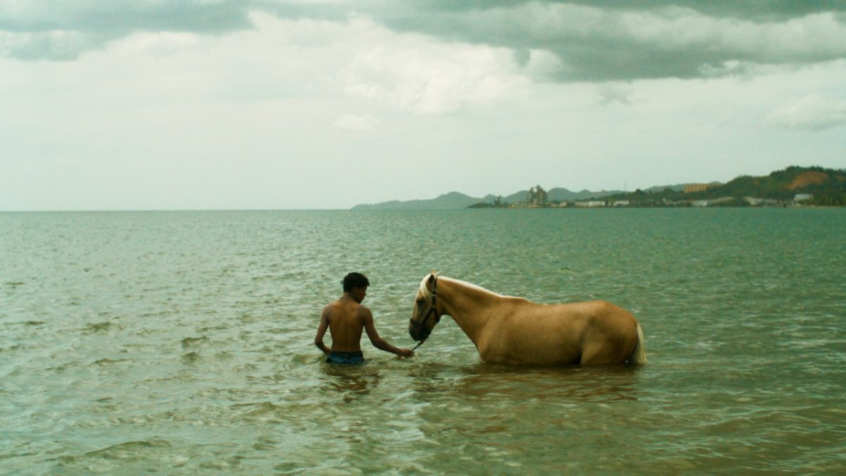 Esta Isla (This Island, 2025)