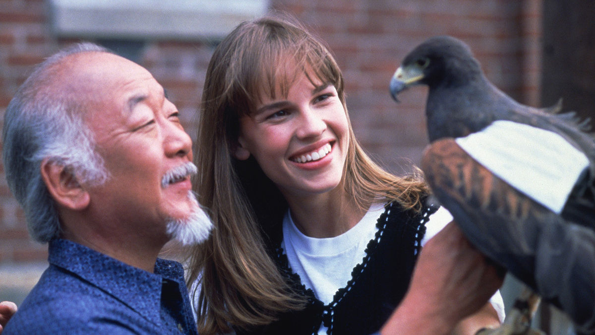 The Next Karate Kid (1994)