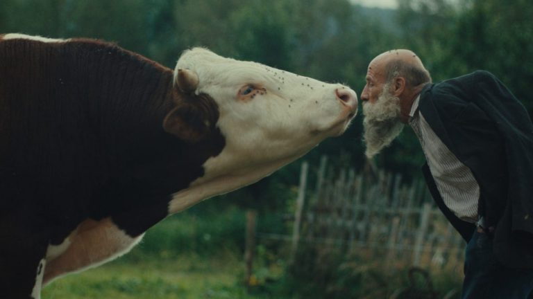 Better Go Mad In The Wild (Radeji zesílet v divocine, 2025)