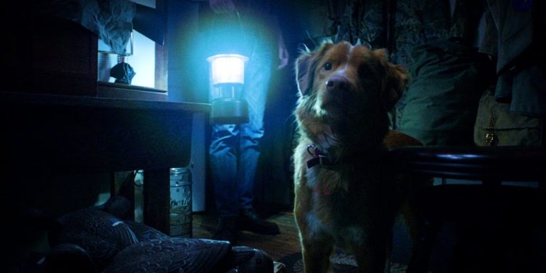 Good Boy (2025) Movie
