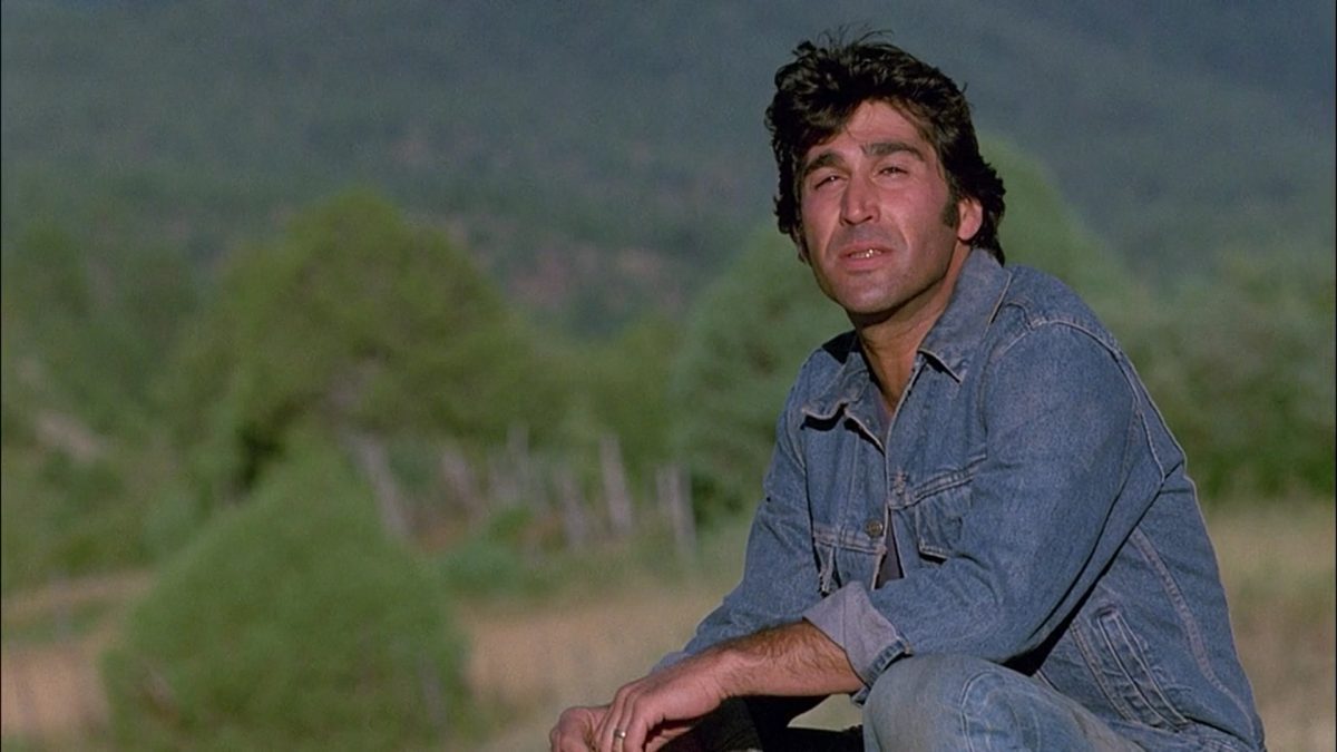 The Milagro Beanfield War (1988)