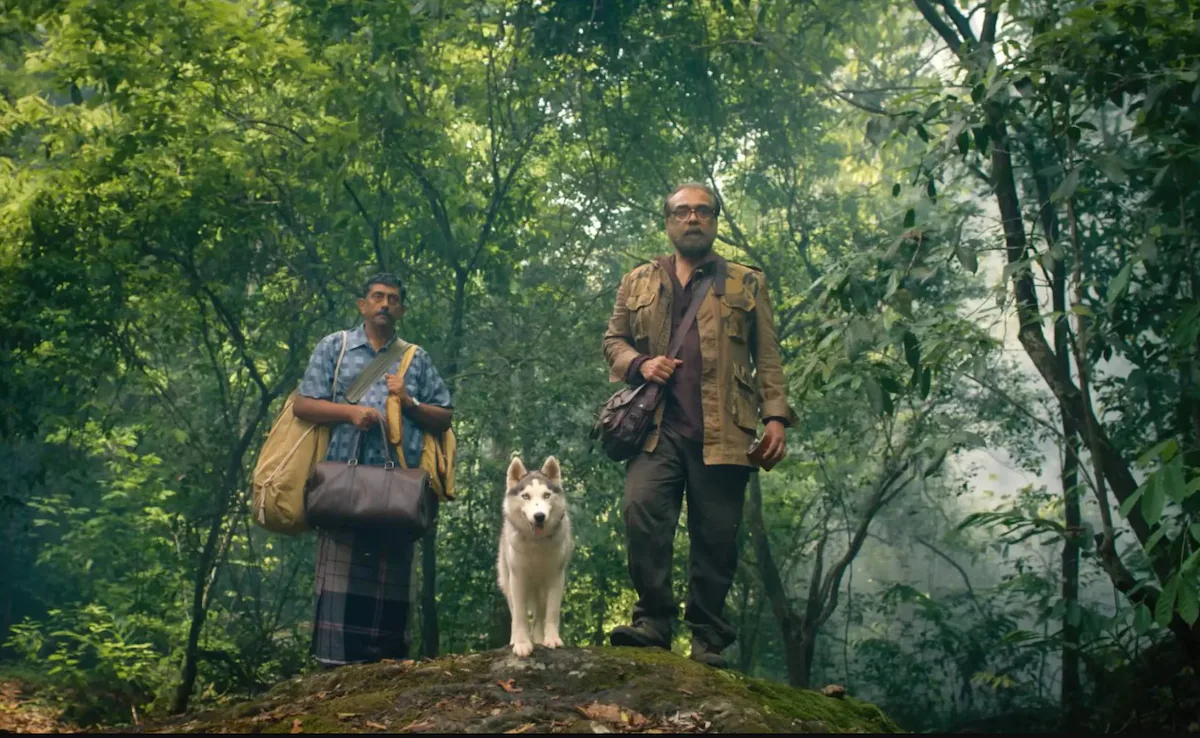 Eko | The 25 Best Indian Movies of 2025