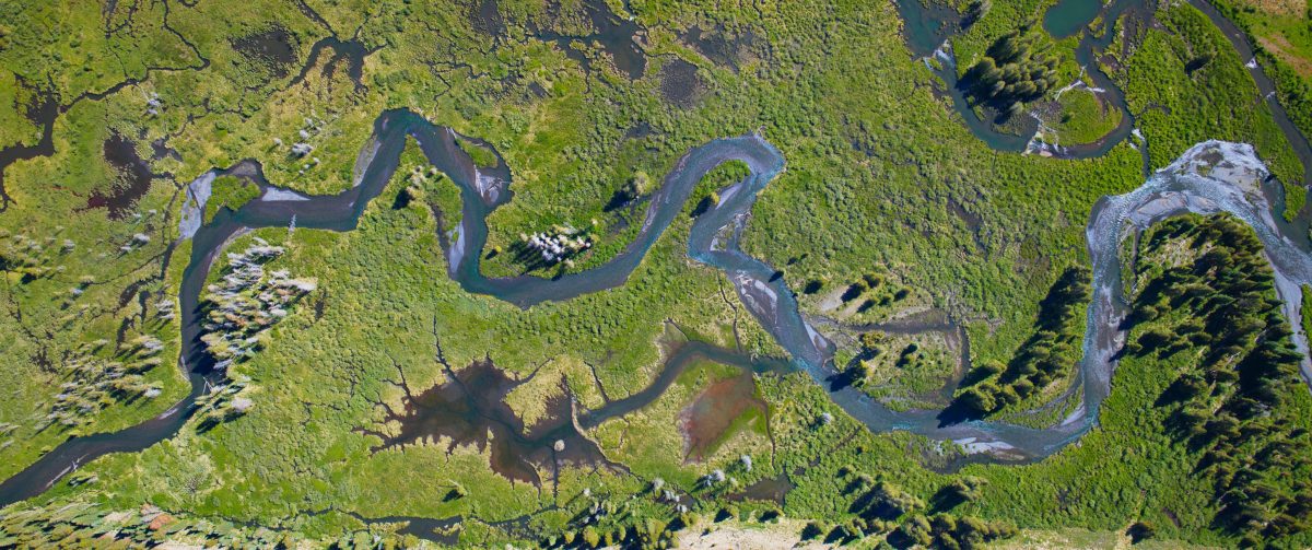 A still from The American Southwest (2025). 