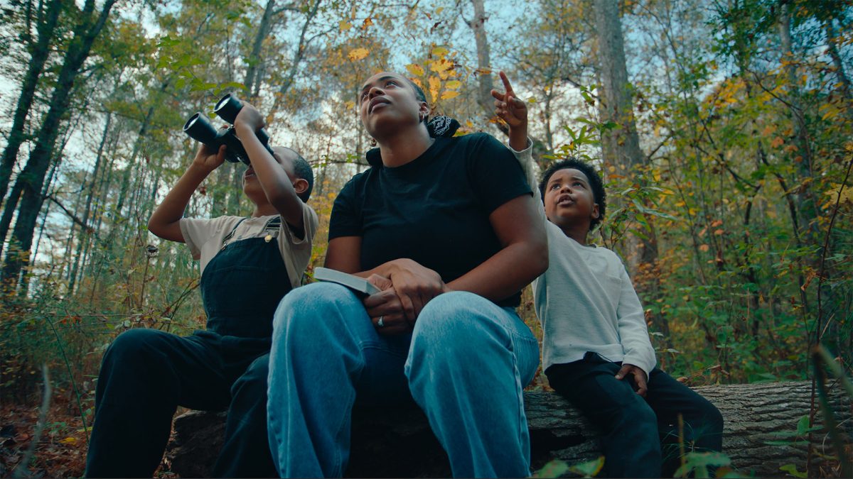 The Boys and the Bees | The 10 Most Notable/Best Shorts from the 2026 Sundance Film Festival