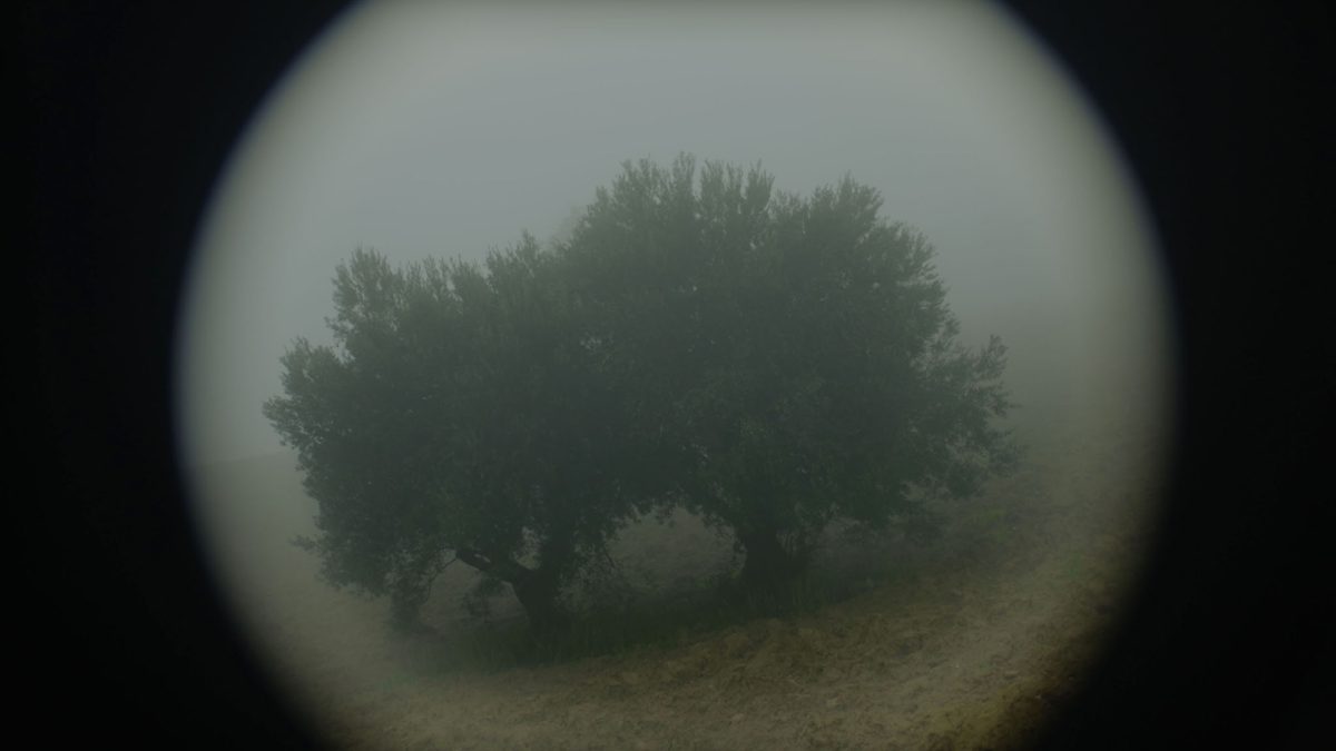 Why Do I See You In Everything? (2026)