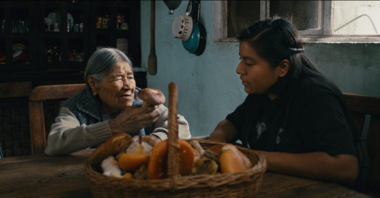 Daughters of the Forest (2026)