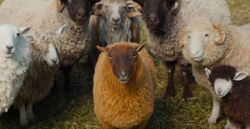 A still from The Sheep Detectives (2026). 