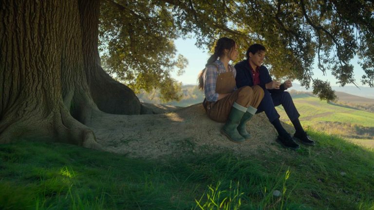 No Place To Be Single (2026) Movie Review & Ending Explained: Does Michele Sell the Land?
