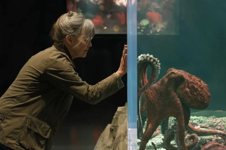 Remarkably Bright Creatures (2026) Movie Review: A Heartfelt, Delicate Drama With Surprising Introspection