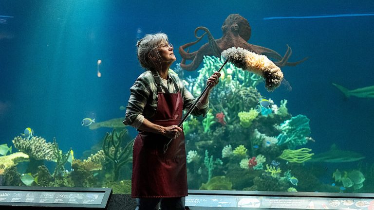 Remarkably Bright Creatures (2025) ‘Netflix’ Movie Ending Explained & Themes Analyzed – Who is Cameron’s Father?