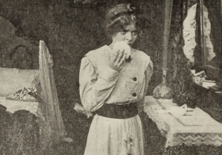The Making of Film Language: Griffith’s Biograph Years and ‘The Painted Lady’