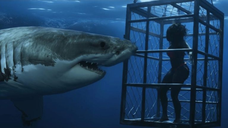 Chum (2026)